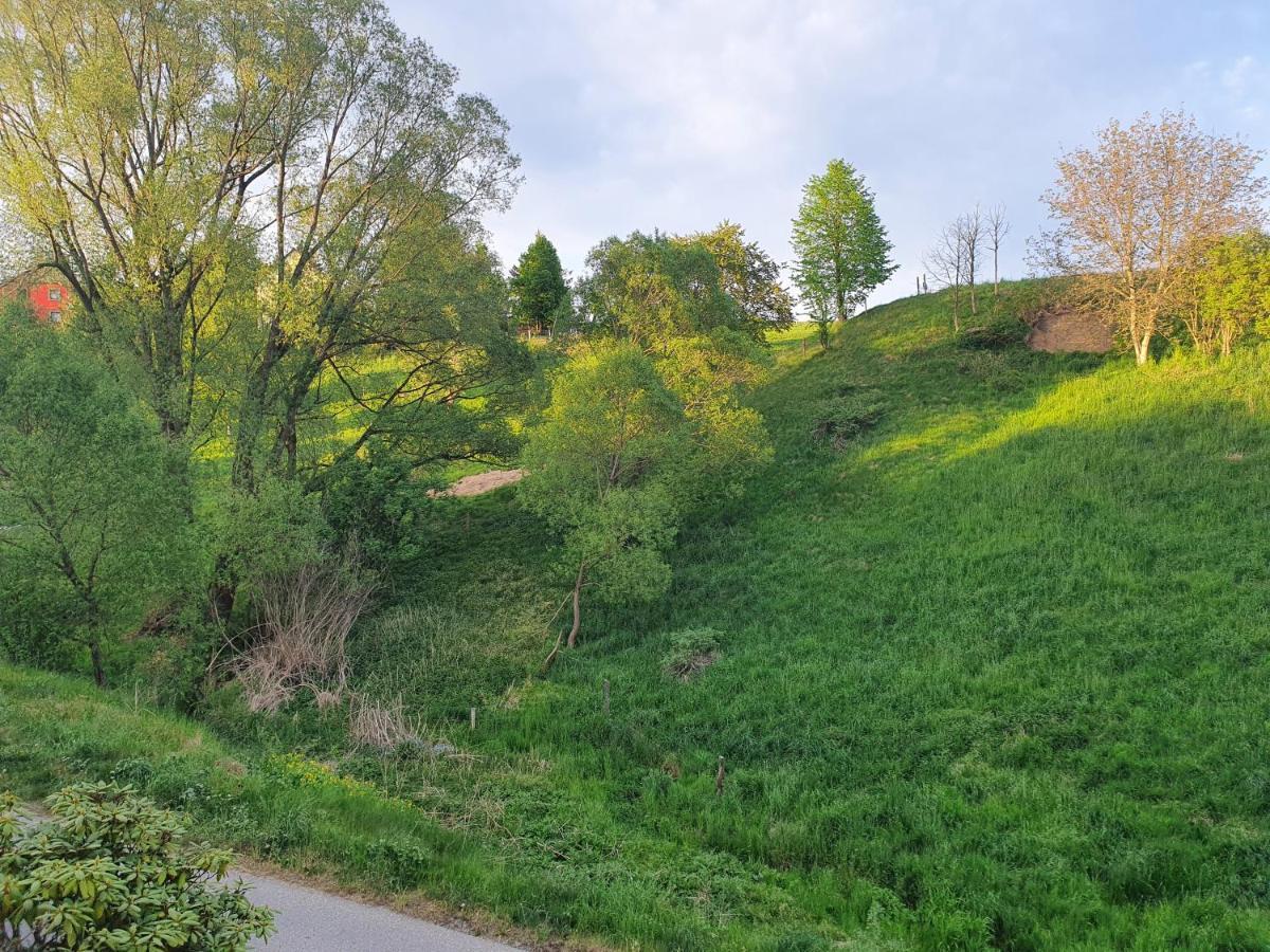 Fewo-Hierundjetzt Lichtenhain Bei Sebnitz Am Malerweg 외부 사진